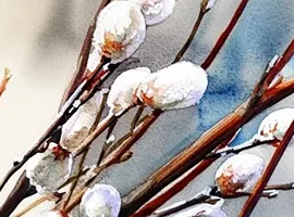 Православные верующие 5 апреля отмечают Вербное воскресенье